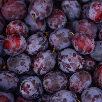 TruBiol Plant Antifreeze Plum Harvest 35%